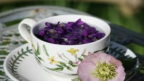 تصویر 5 از خرید و قیمت گل گاو زبان خشک + فروش عمده